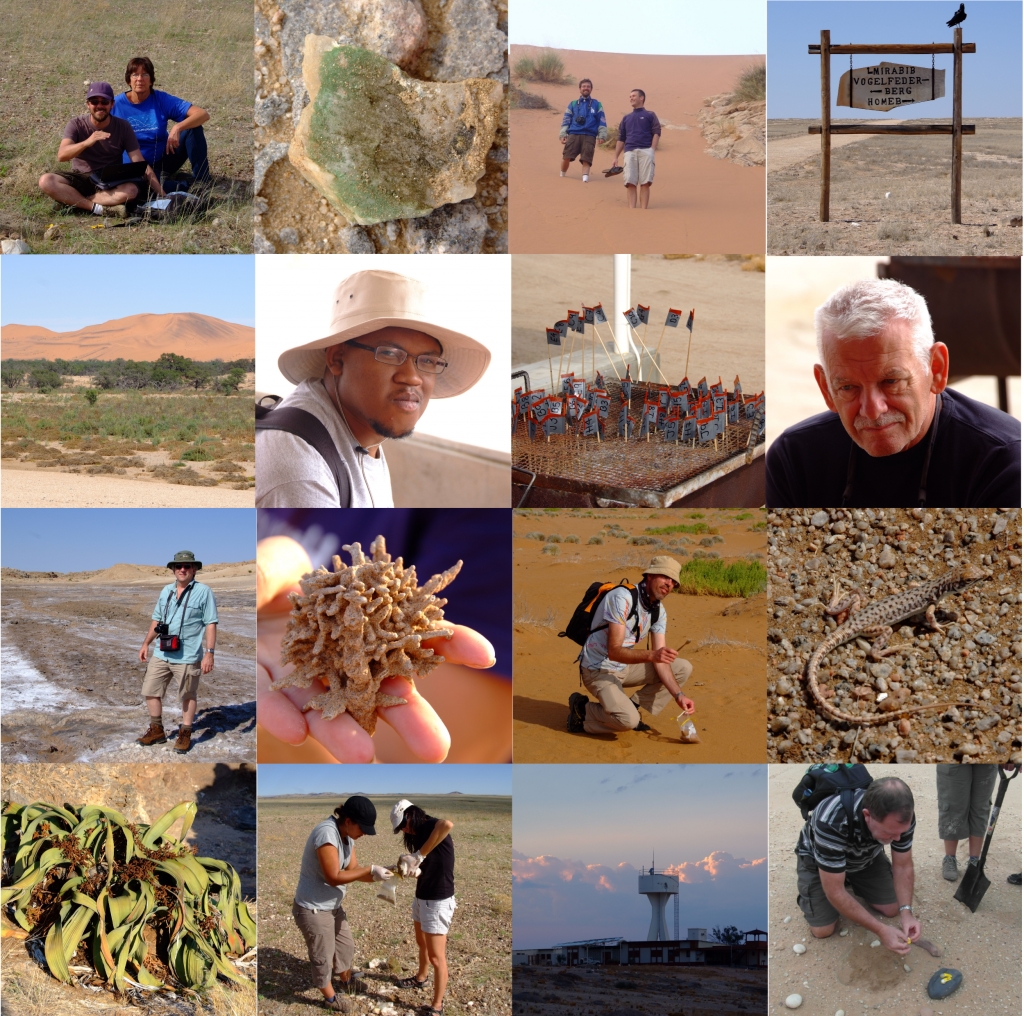 Namibia Collage